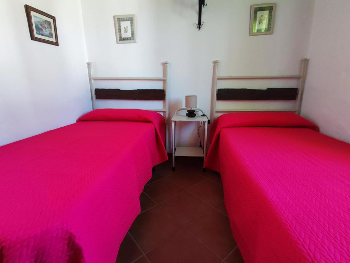Villa El Cortijo de Pepa Conil De La Frontera Exterior foto